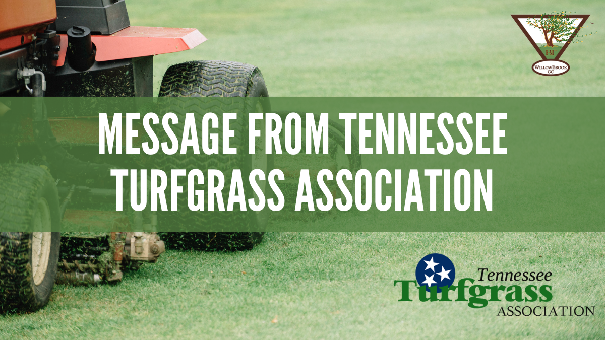 TN Turfgrass Association Message